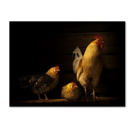 Trademark Fine Art Lars Anker Rasch 'Farm Animals' Canvas Art, 18x24 1X01452-C1824GG